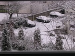 it looks cold