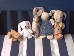 You might notice that I like rabbits.